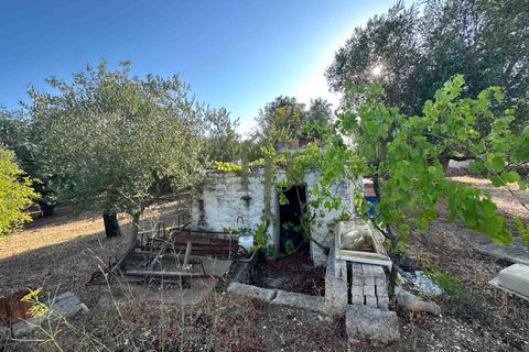Ruïna a Ostuni, Brindisi, Ostuni - € 43.000 | Ref: Lamia Vite - foto 23